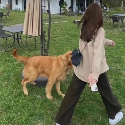 迪特,人之子