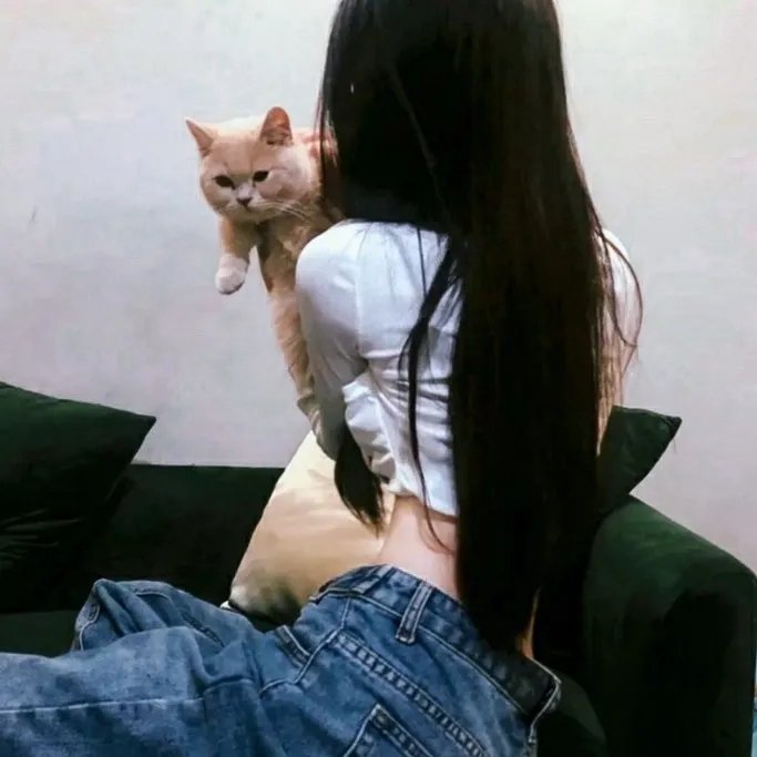 生命中的一天