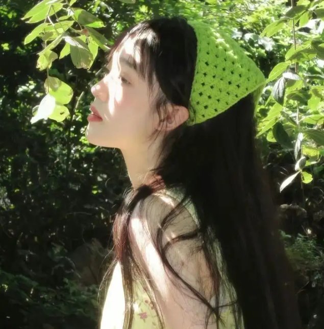 花开蝶满枝